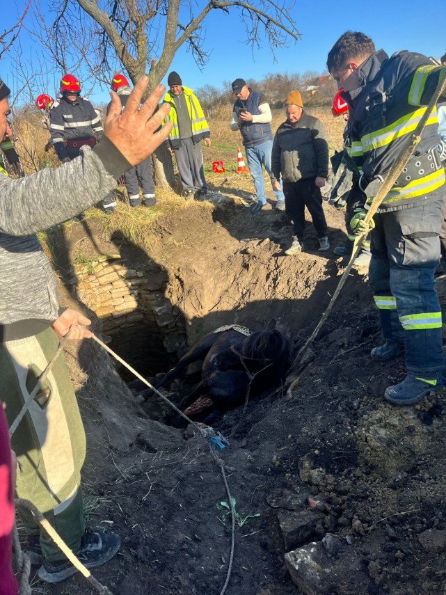 Sursa foto: ISU Iași