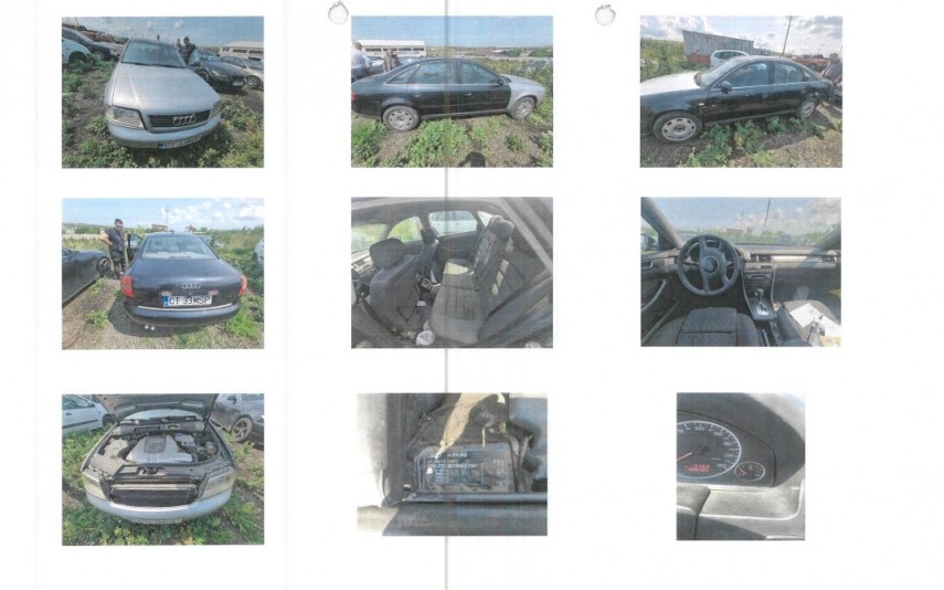 Foto: DGFP Constanța