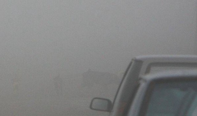 Foto cu rol ilustrativ