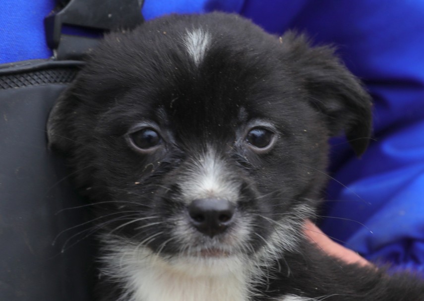 Sursa foto: Primăria Constanța