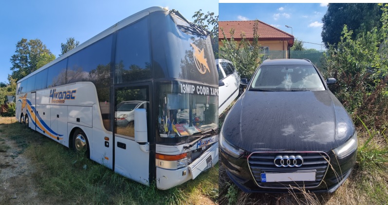 Foto ilustrativă - sursa: DGFP Galați