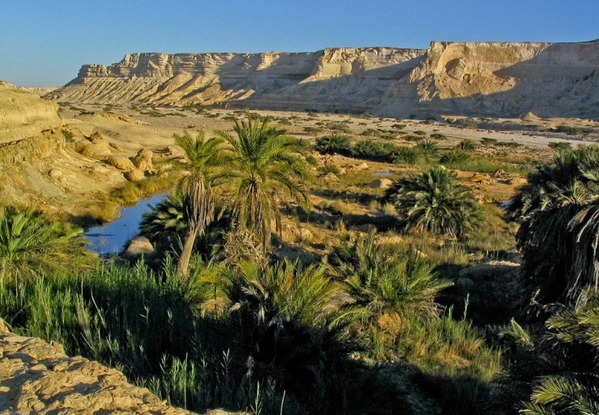 Peisaj deșertic din Oman, Sursa foto. Wikipedia