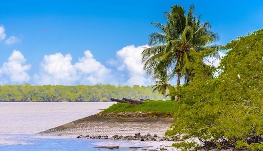 Surinam. Foto - Wikipedia