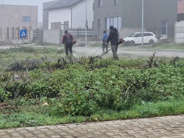 Sursă foto: Facebook/Gospodăria Comunală Valu lui Traian