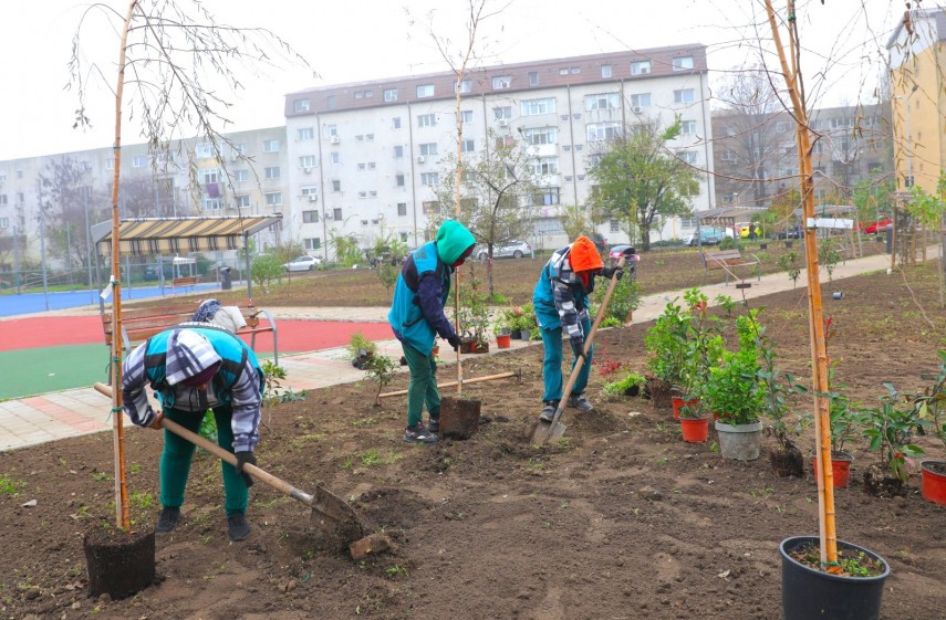 Sursă foto: Primăria Constanța