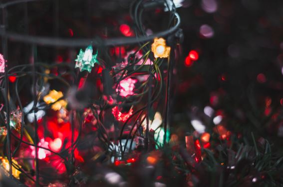 foto cu rol ilustrativ: Freepick.com 