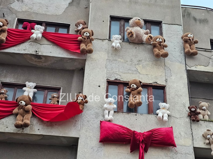 foto video ursi de plus atarnati pe pe fatada cladiri din piata ovidiu organizatori am dorit sa mai acopar foto video ursi de plus atarnati pe pe fatada cladiri din piata ovidiu organizatori am dorit sa mai acopar
