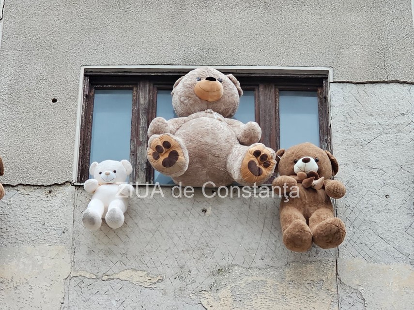 foto video ursi de plus atarnati pe pe fatada cladiri din piata ovidiu organizatori am dorit sa mai acopar foto video ursi de plus atarnati pe pe fatada cladiri din piata ovidiu organizatori am dorit sa mai acopar