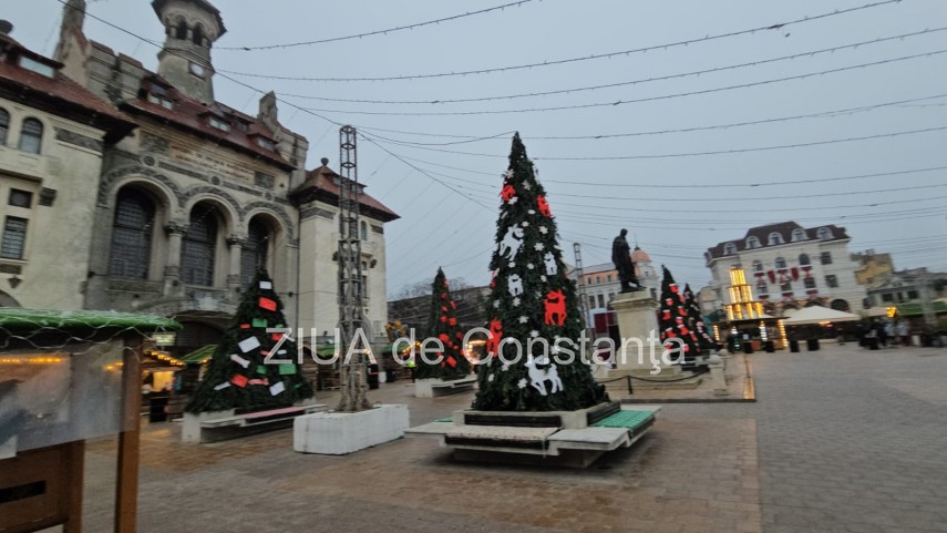 foto video ursi de plus atarnati pe pe fatada cladiri din piata ovidiu organizatori am dorit sa mai acopar foto video ursi de plus atarnati pe pe fatada cladiri din piata ovidiu organizatori am dorit sa mai acopar