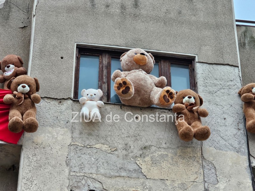 foto video ursi de plus atarnati pe pe fatada cladiri din piata ovidiu organizatori am dorit sa mai acopar foto video ursi de plus atarnati pe pe fatada cladiri din piata ovidiu organizatori am dorit sa mai acopar