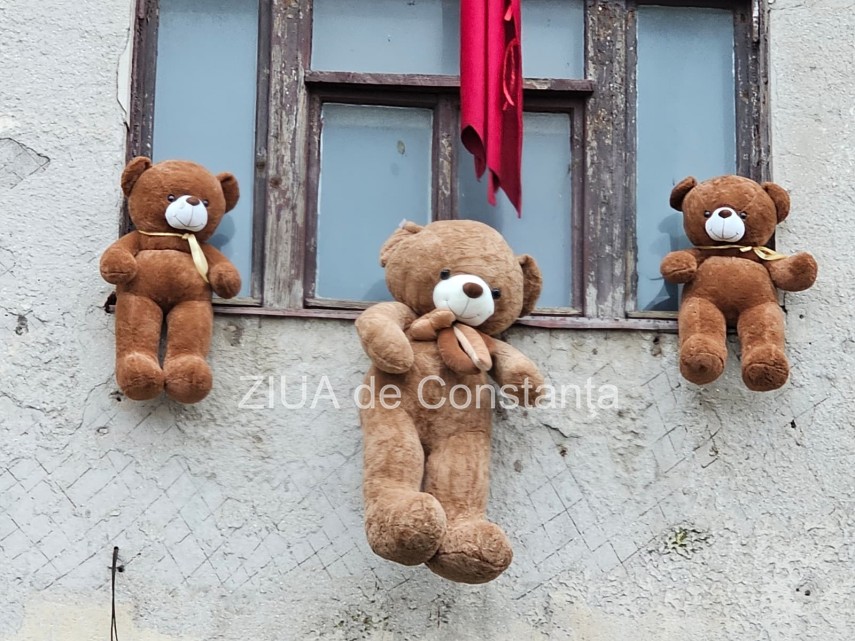 foto video ursi de plus atarnati pe pe fatada cladiri din piata ovidiu organizatori am dorit sa mai acopar foto video ursi de plus atarnati pe pe fatada cladiri din piata ovidiu organizatori am dorit sa mai acopar