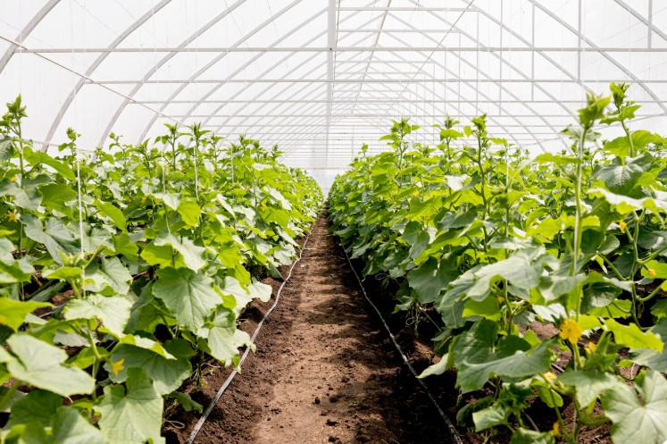 sursa foto: Freepick.com