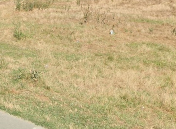 Foto cu rol ilustrativ