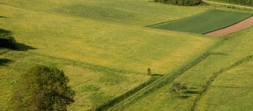 Foto cu rol ilustrativ. Sursa: freepick