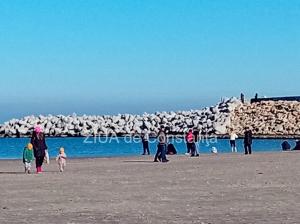 Constănțenii, la plimbare pe malul mării în prima zi a anului(GALERIE FOTO)