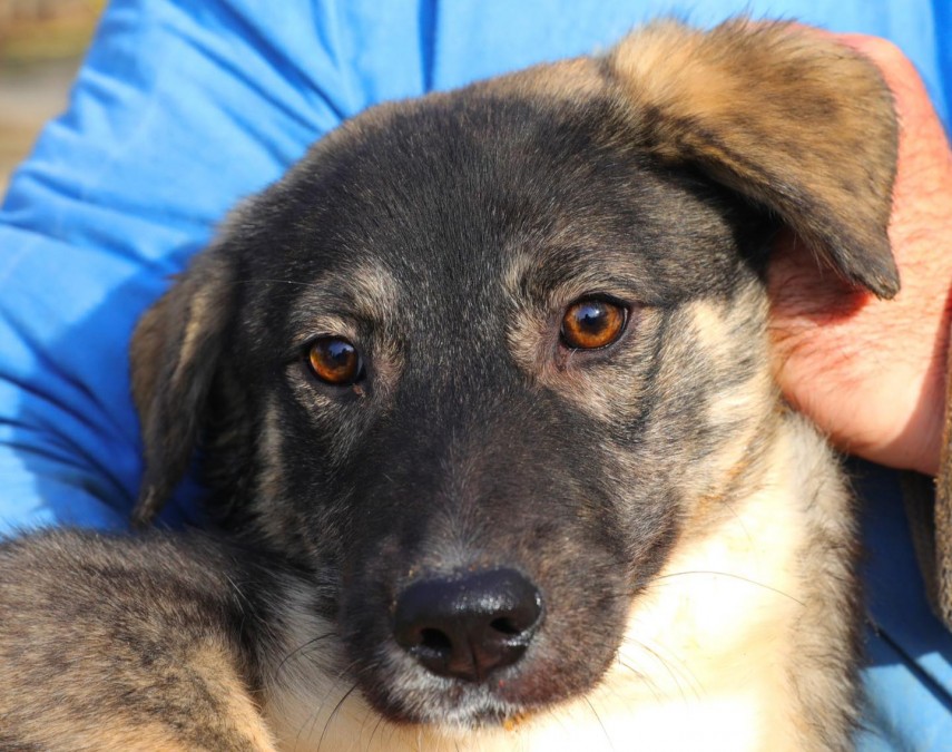 Sursa foto: Primăria Constanța 