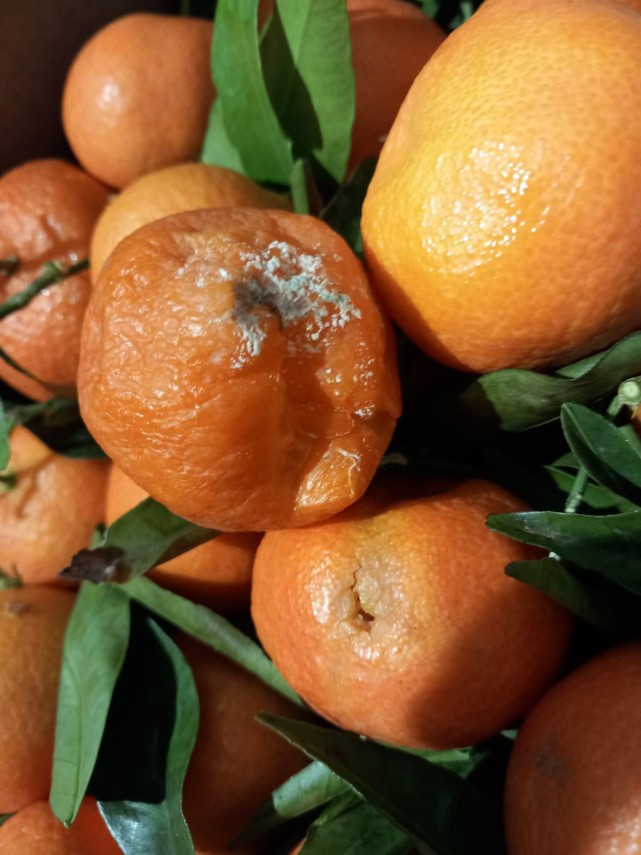 foto marile magazine de retail din bucuresti controlate de anpc amenzi de aproximativ 3 2 milioane de foto marile magazine de retail din bucuresti controlate de anpc amenzi de aproximativ 3 2 milioane de