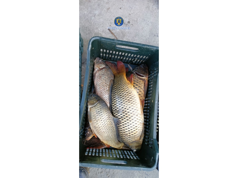 Sursă foto: Poliția Română