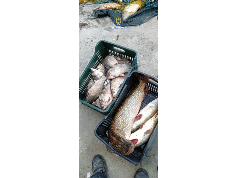 foto peste 478 kg de peste si 159 de unelte confiscate in actiuni impotriva pescuitului ilegal in tulcea foto peste 478 kg de peste si 159 de unelte confiscate in actiuni impotriva pescuitului ilegal in tulcea