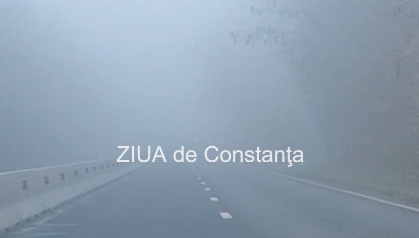 Foto cu rol ilustrativ