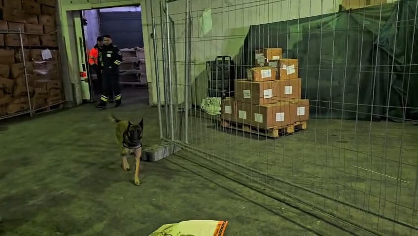 biroul vamal de frontiera constanta sud peste 880 000 de produse susceptibile a fi contrafacute in valoare biroul vamal de frontiera constanta sud peste 880 000 de produse susceptibile a fi contrafacute in valoare