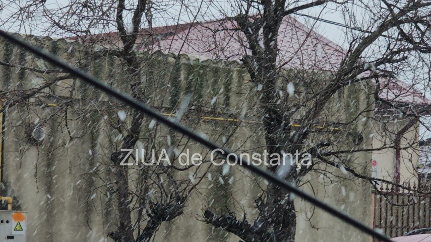 foto video ninge la constanta avertizari meteo emise de meteorologi 923430 foto video ninge la constanta avertizari meteo emise de meteorologi 923430