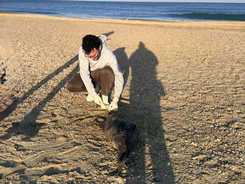 Sursa foto: Facebook/Ong Mare Nostrum