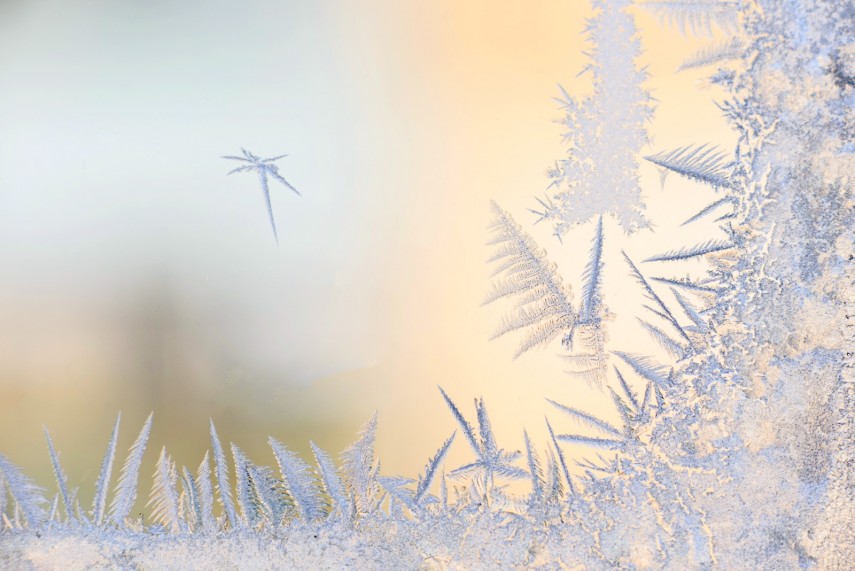 Sursa foto: Primăria Constanța