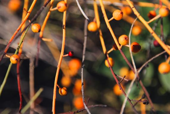 sursa foto: freepick.com