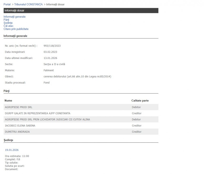 Portalul Instanțelor de Judecată