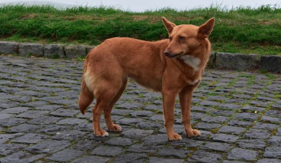 sursa foto: Freepick.com