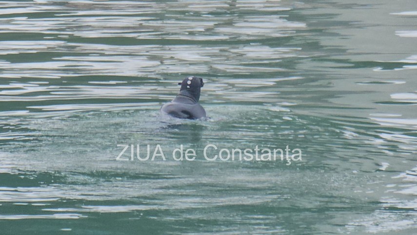 cautarile fetei care ar fi cazut de pe podul de la agigea in canalul dunare marea neagra reluate de salvatorii cautarile fetei care ar fi cazut de pe podul de la agigea in canalul dunare marea neagra reluate de salvatorii