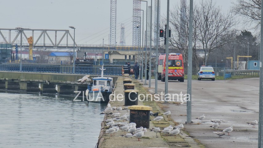 foto video cautarile fetei care ar fi cazut de pe podul de la agigea in canalul dunare marea neagra reluate foto video cautarile fetei care ar fi cazut de pe podul de la agigea in canalul dunare marea neagra reluate
