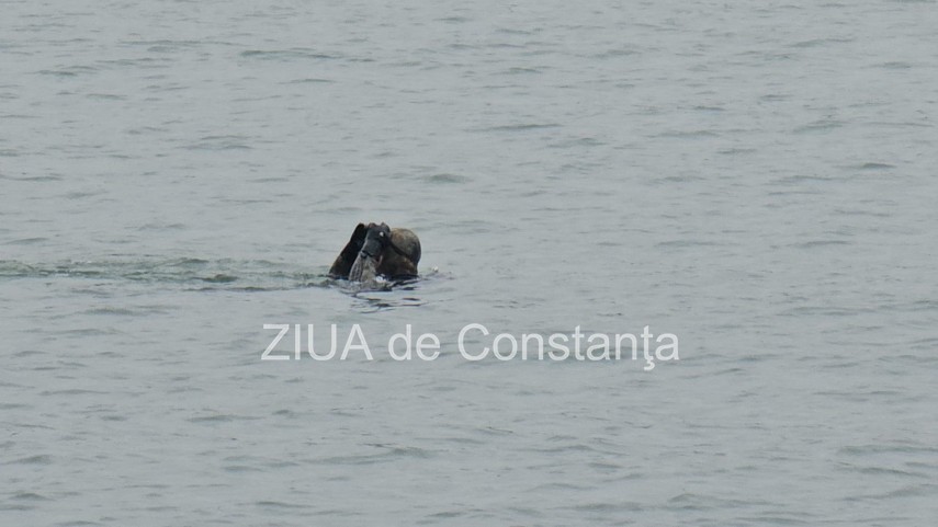 foto video cautarile fetei care ar fi cazut de pe podul de la agigea in canalul dunare marea neagra reluate foto video cautarile fetei care ar fi cazut de pe podul de la agigea in canalul dunare marea neagra reluate