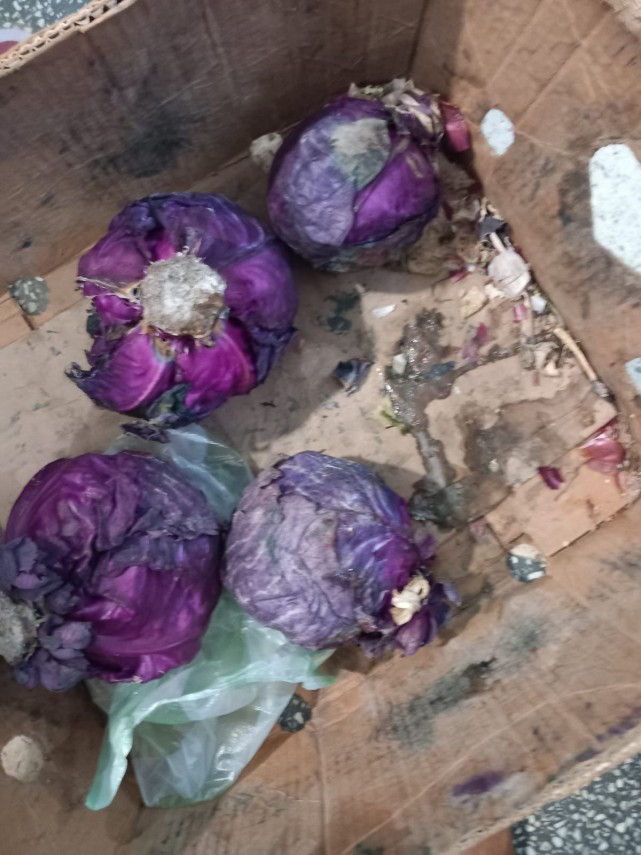 foto de la alimente alterate la jucarii periculoase ce au descoperit comisarii anpc in urma controalelor foto de la alimente alterate la jucarii periculoase ce au descoperit comisarii anpc in urma controalelor