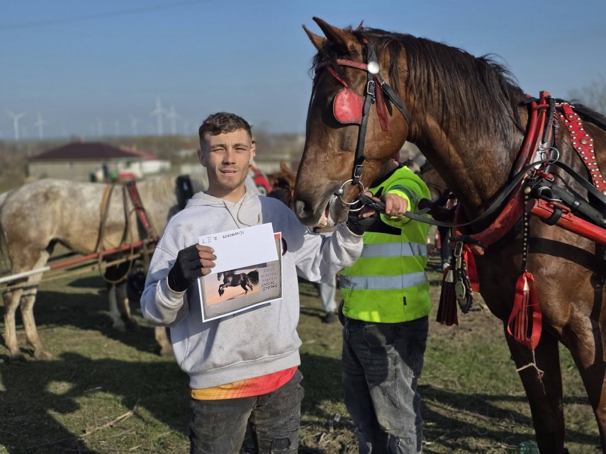 stiri constanta foto traditia botezului cailor celebrata cu fast in comuna nicolae balcescu de boboteaza stiri constanta foto traditia botezului cailor celebrata cu fast in comuna nicolae balcescu de boboteaza