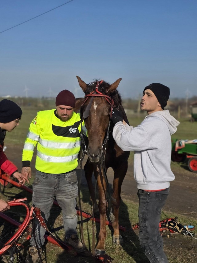 stiri constanta foto traditia botezului cailor celebrata cu fast in comuna nicolae balcescu de boboteaza stiri constanta foto traditia botezului cailor celebrata cu fast in comuna nicolae balcescu de boboteaza