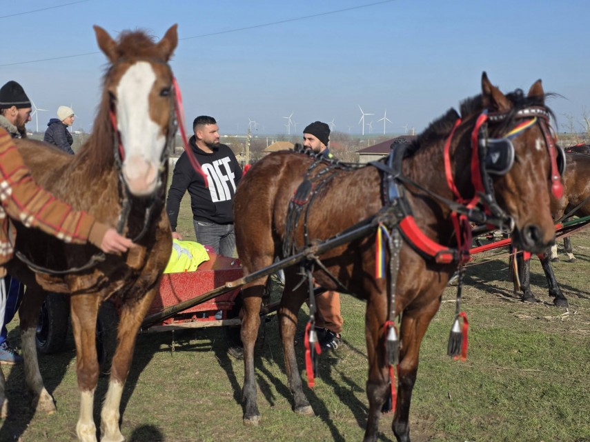 stiri constanta foto traditia botezului cailor celebrata cu fast in comuna nicolae balcescu de boboteaza stiri constanta foto traditia botezului cailor celebrata cu fast in comuna nicolae balcescu de boboteaza