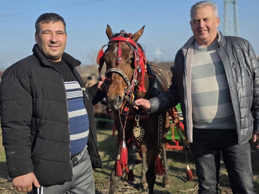 stiri constanta foto traditia botezului cailor celebrata cu fast in comuna nicolae balcescu de boboteaza stiri constanta foto traditia botezului cailor celebrata cu fast in comuna nicolae balcescu de boboteaza
