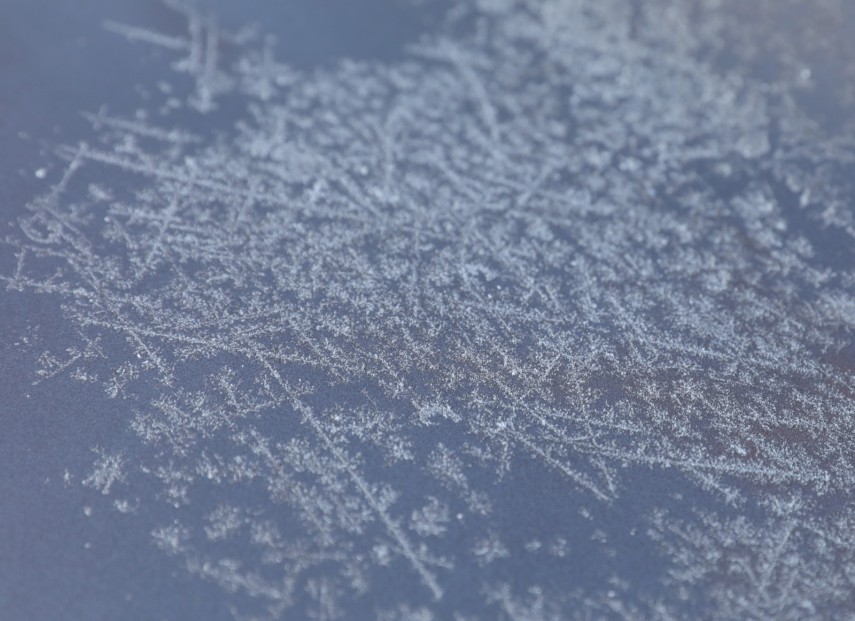 Sursa foto: Facebook/ Primăria Constanța