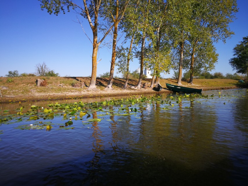 arbdd astazi 2 februarie 2026 sarbatorim ziua mondiala a zonelor umede foto 926264