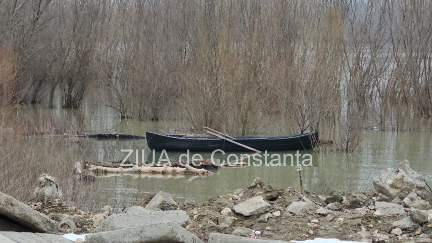 foto video oficial de la ipj constanta despre barbatul cautat in dunare la topalu 929648 foto video oficial de la ipj constanta despre barbatul cautat in dunare la topalu 929648