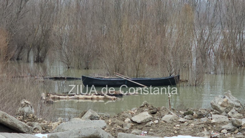 foto video oficial de la ipj constanta despre barbatul cautat in dunare la topalu 929648 foto video oficial de la ipj constanta despre barbatul cautat in dunare la topalu 929648