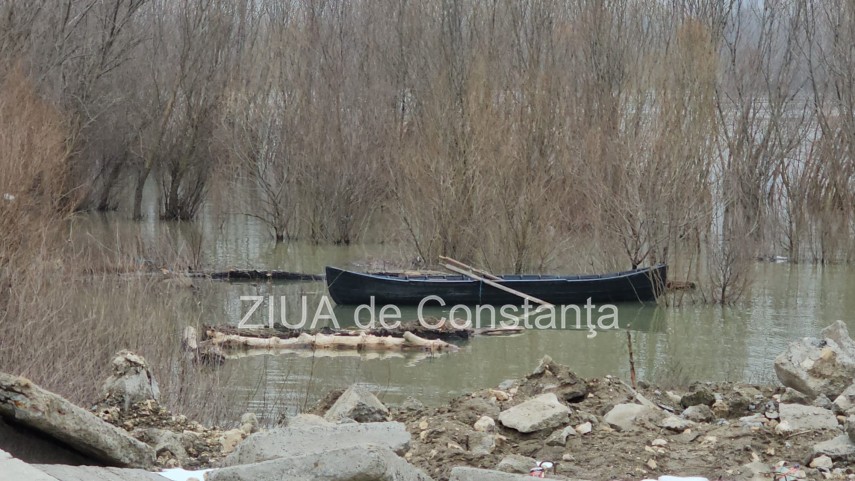 foto video oficial de la ipj constanta despre barbatul cautat in dunare la topalu 929648 foto video oficial de la ipj constanta despre barbatul cautat in dunare la topalu 929648