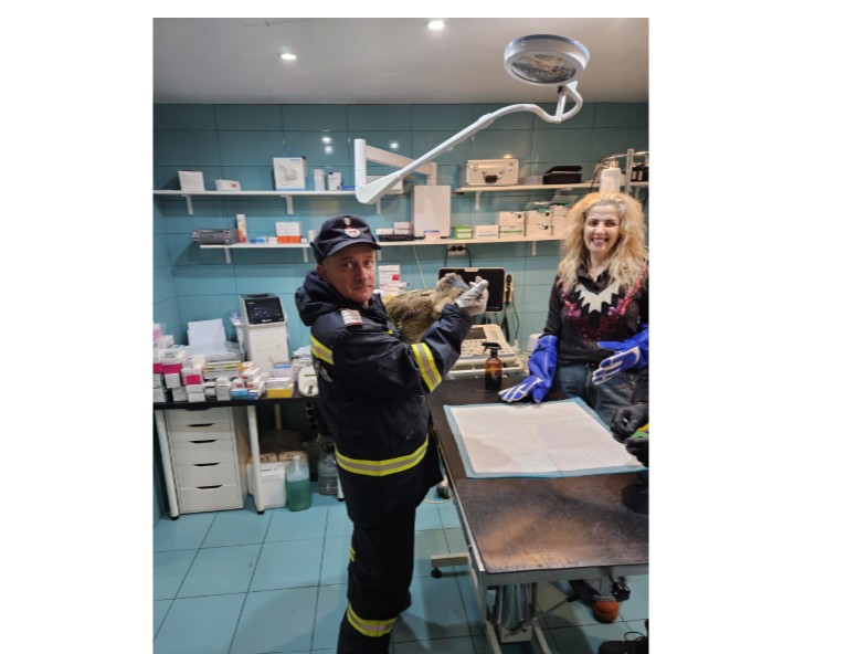 sursa foto: ISU Tulcea