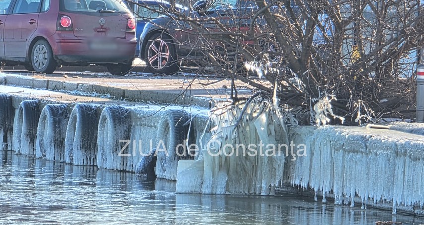 fotoreportaj video peisaj de iarna impresionant pe malul lacului tabacarie din constanta 926388 fotoreportaj video peisaj de iarna impresionant pe malul lacului tabacarie din constanta 926388