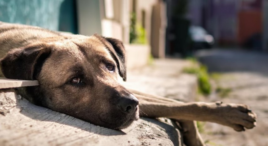 Foto cu rol ilustrativ, Sursa foto: Freepik