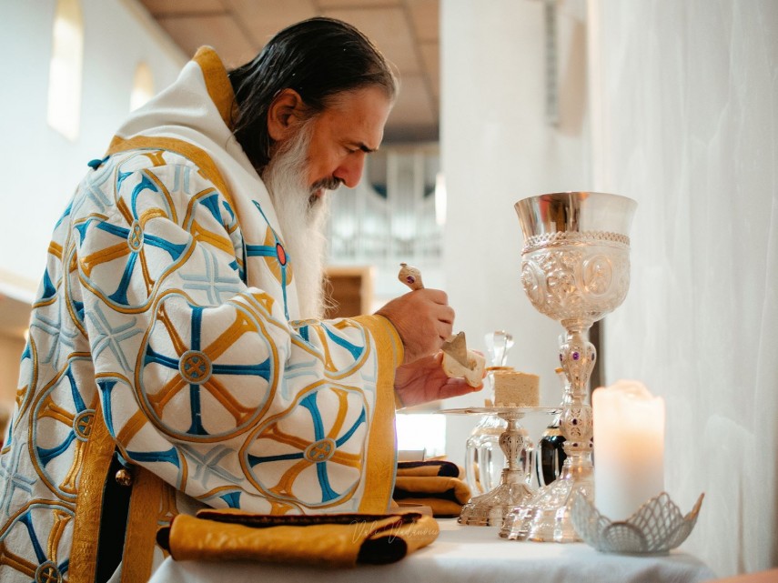 ÎPS Teodosie; sursa foto: Facebook/ Arhiepiscopia Tomisului