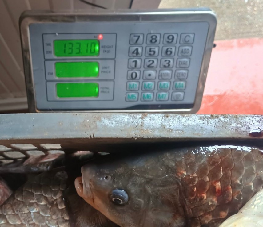 Sursa foto: IJJ Constanța