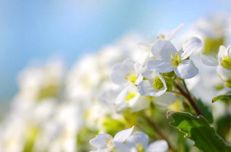 Sursa foto: Freepick.com